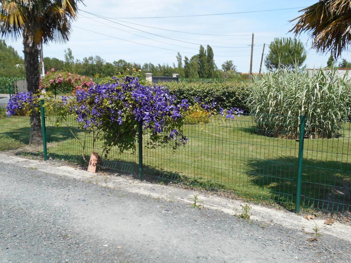 Marais Poitevin Bord Riviere Peche ,Barque, Velos, Wifi, Linge, Cheminee, Cuisine, Terrain De Boules La Taillee 外观 照片