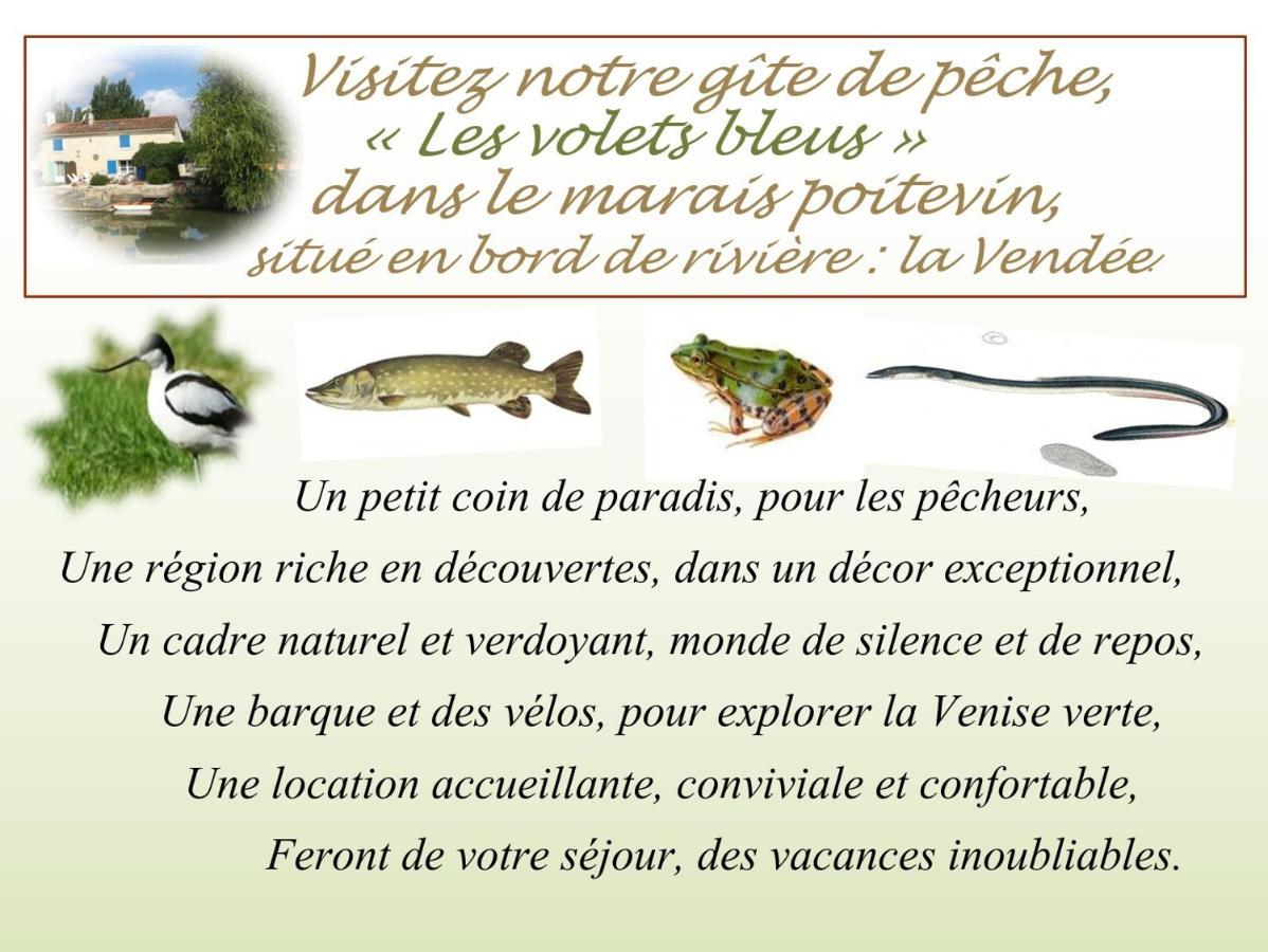 Marais Poitevin Bord Riviere Peche ,Barque, Velos, Wifi, Linge, Cheminee, Cuisine, Terrain De Boules La Taillee 外观 照片
